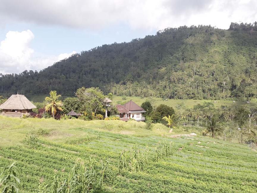 Embang Homestay 시데멘 외부 사진