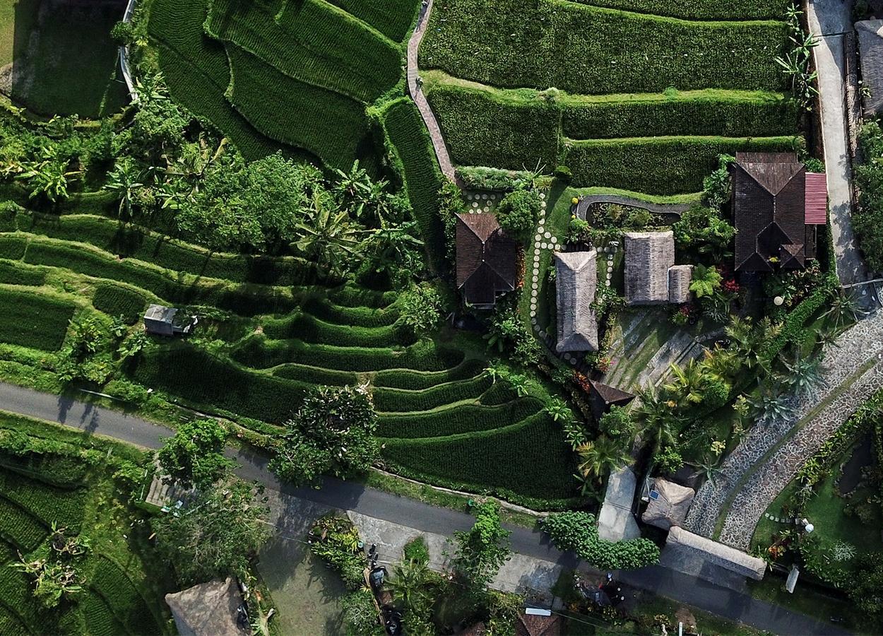 Embang Homestay 시데멘 외부 사진