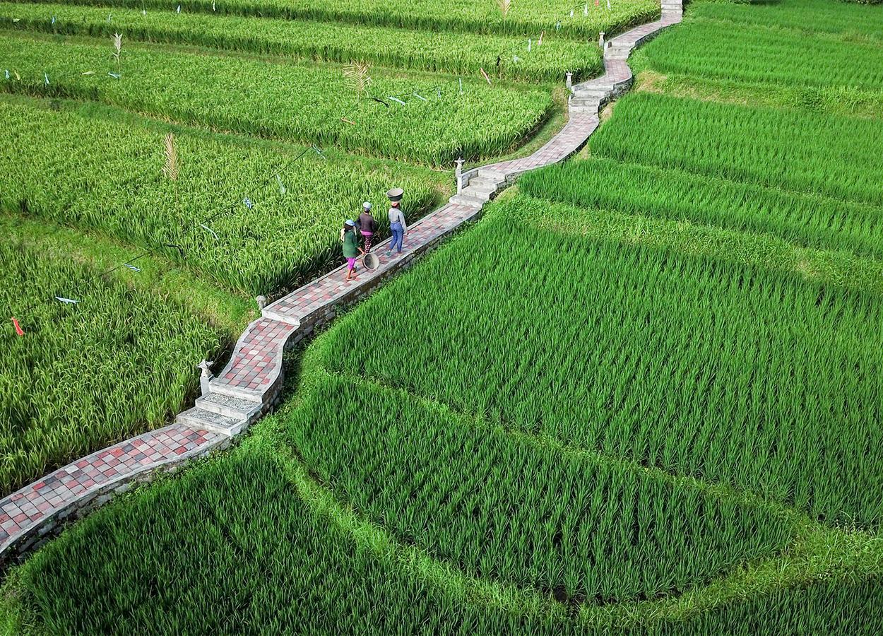 Embang Homestay 시데멘 외부 사진